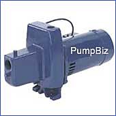Shallow well water pump