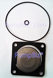 AMT 3993-300-91 O-Ring Gasket Kit