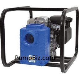 AMT 3390-95 Portable 3 Solid Handling Pump