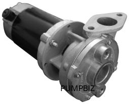 MP 28781 Bronze Circulator pump