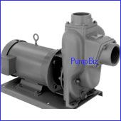 MP 22722 FloMax 10 Pump w/ Motor
