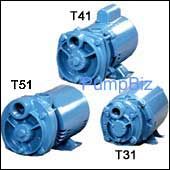 MTH T31FAB053TB Regenerative pump Regenerative Turbine Pump