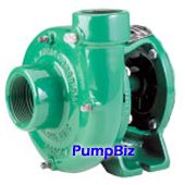 Myers 125M-2FA Centi-Thrift 2hp 1P-PEO