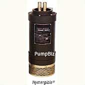 PumpBiz 9-81534-24 Submersible Dewatering Pump