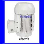 Standard SP-502 Sanitary Pump motor