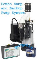 Watchdog BW4000 Combination Primary and Backup Pump System