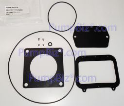 amt gasket oring Kit IPT 399C-300-90