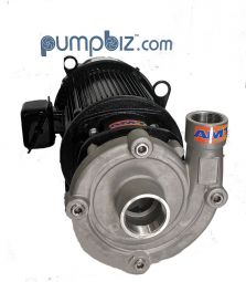 4265-98 amt 316ss chemical pump