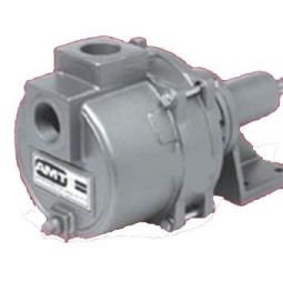 AMT 3161-99 Solids Handling Pedestal Pump