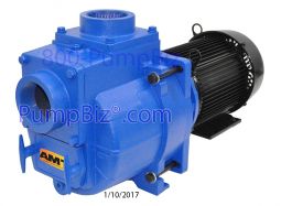 AMT Pumps - 394J-95: Electric Trash pump 