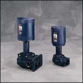 Graymills BSWS306HE 3/4 Vertical CI Centrifugal Pump  Mtr