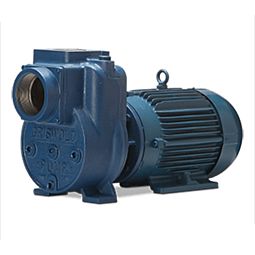 5HLS TEFC Self priming water pump 5HP