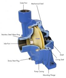Cast Iron Centrifugal Pedestal Pump