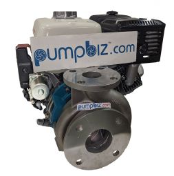 MP 36922 316SS CF6 potable water Pump gas Engine