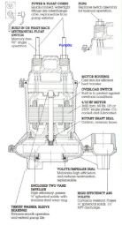 Myers - ME40AGP-11: Automatic Effluent and Drain Water Pump