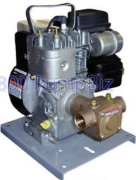 Oberdorfer 405MG-03UGY Gas Rubber Impeller Pump 