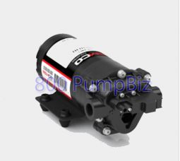 Remco - 3323-1E1-82B: 12v Demand Pump 2GPM 
