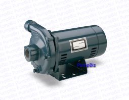 Sta-rite Centrifugal Pump High Pressure