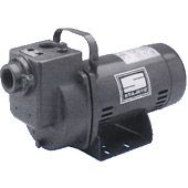 Sta-Rite DPCMS1 1/2 HP Self priming centrifugal pump