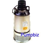 tsurumi_100AB2.4S-61 fountain pump