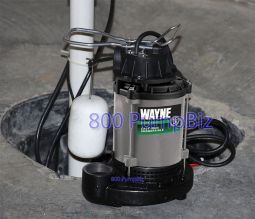 Wayne - CDU980: 3/4 HP Stainless Steel Submersible Sump Pump