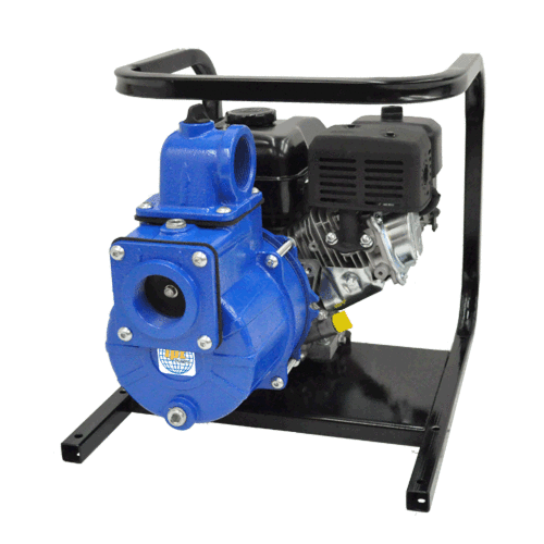 2" Solids Handling Pump