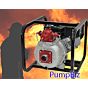 AMT 2mp fire pump gas engine