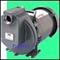 AMT Pumps - 4295-E8 DEF Stainless Self priming pump