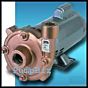 AMT 4893-97 High Pressure Bronze Centrifugal Pump