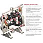 All-Flo A100-NA3-SS3E-000 Stainless Steel Air Operated Double Diaphragm Pump