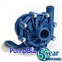 Finish Thompson DB15P Magnetic coupled pump PEO