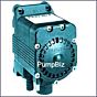 Flojet G575225A Duplex Diaphragm pump S