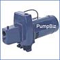 Flotec FP4112 water pump CI Shallow well Pump 1/2