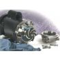Bronze centrifugal Pump