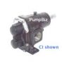 Hypro PCN5V Ped. Mount CI pump #5