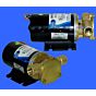 Commercial Duty 12vDC water pump