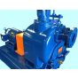 6" trash pump