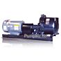 Pacer long coupled S pump with motor