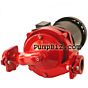 Gorman-Rupp 5871-95 Cast Iron Circulator Pump
