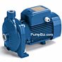 Pedrollo CPX05A16S Centrifugal End Suction pump