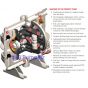All-Flo KN-20 PVDF Air Operated Double Diaphragm Pump