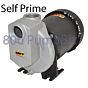 AMT - 3890-98: Self prime Stainless Steel pump
