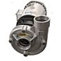 amt 4260-98 stainless pump w/washdown motor