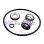 AMT pump Shaft Seal Viton kit 3150-300-92
