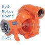berkeley_hydraulic water pump