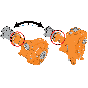 berkely_b73403 b3jrmbms