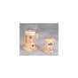 Graymills - IMS75F 3/4: Vertical coolant Pump