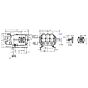 T 76 Triplex Plunger 20.9hp