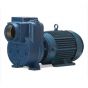15HLT TEFC CI SP pump 15HP