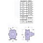 Big Twin Piston Pump Solid Shaft